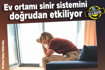 Ev ortamı sinir sistemini doğrudan etkiliyor