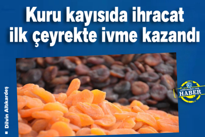 Kuru kayısıda ihracat ilk çeyrekte ivme kazandı