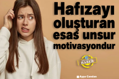 Hafızayı oluşturan esas unsur motivasyondur