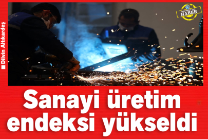 Sanayi üretim endeksi yükseldi