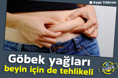 Göbek yağları beyin için de tehlikeli