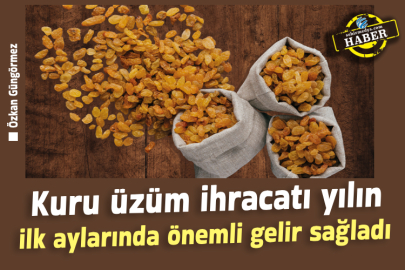 Kuru üzüm ihracatı yılın ilk aylarında önemli gelir sağladı