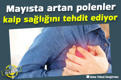 Mayısta artan polenler kalp sağlığını tehdit ediyor
