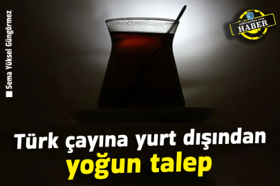 Türk çayına yurt dışından yoğun talep