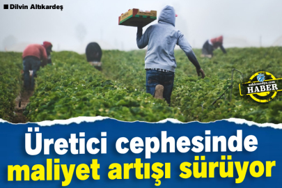 Üretici cephesinde maliyet artışı sürüyor