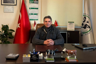 CHP'li meclis üyesine kadına şiddetten ev hapsi