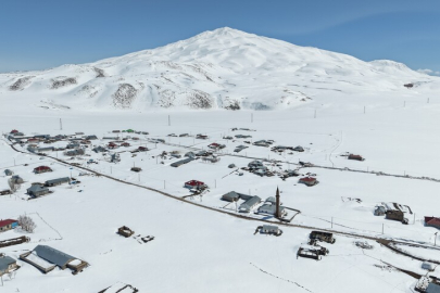 Van ve Bitlis'in kırsal bölgelerinde zorlu kış şartlarıyla mücadele sürüyor