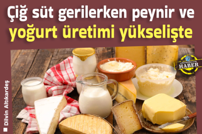 Çiğ süt gerilerken peynir ve yoğurt üretimi yükselişte