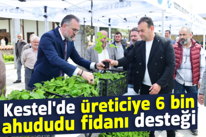 Kestel'de üreticiye 6 bin ahududu fidanı desteği