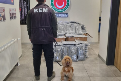 Gümrükler Muhafaza ekipleri, 2 ayrı operasyonda 420 kilogram uyuşturucu ele geçirdi