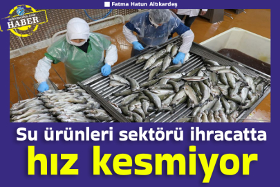 Su ürünleri sektörü ihracatta hız kesmiyor