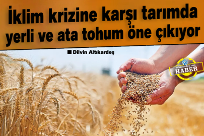 İklim krizine karşı tarımda yerli ve ata tohum öne çıkıyor
