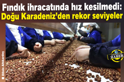 Fındık ihracatında hız kesilmedi: Doğu Karadeniz’den rekor seviyeler