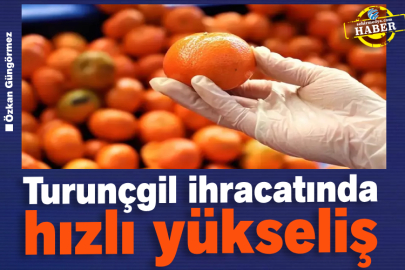 Turunçgil ihracatında hızlı yükseliş