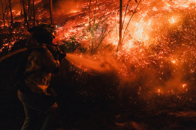 Japonya'nın Iwate eyaletindeki orman yangınlarını söndürme çalışmaları ikinci gününde devam ediyor