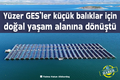 Yüzer GES’ler küçük balıklar için doğal yaşam alanına dönüştü