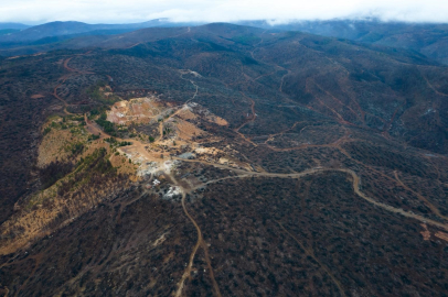 Harmancık’ta yanan alanlar yeniden yeşeriyor