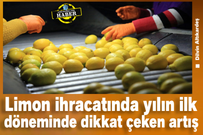 Limon ihracatında yılın ilk döneminde dikkat çeken artış