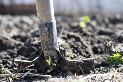 Gübre ürün grubundaki katı amonyum nitrat ve monoamonyum fosfatın gümrük vergisi sıfırlandı