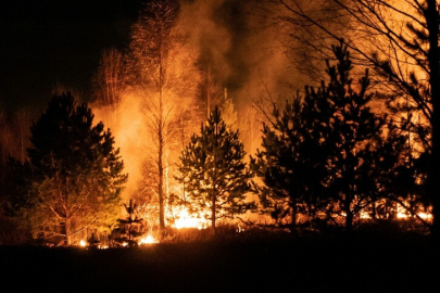 ABD'nin Georgia eyaletinde orman yangınlarında 120'den fazla ev kül oldu
