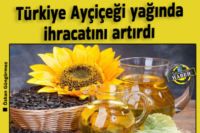 Türkiye Ayçiçeği yağında ihracatını artırdı
