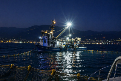Gemlik Körfezi'nde sardalya avcılığı başladı