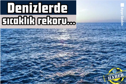 Denizlerde sıcaklık rekoru