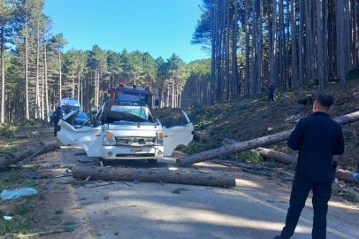 Kesilen ağaç seyir halindeki kamyonetin üzerine devrildi: 1 ölü