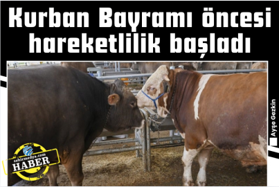 Kurban Bayramı öncesi hareketlilik başladı