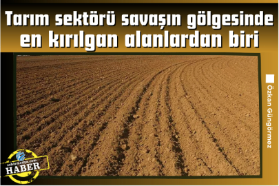 Tarım sektörü savaşın gölgesinde en kırılgan alanlardan biri