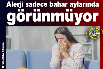 Alerji sadece bahar aylarında görünmüyor
