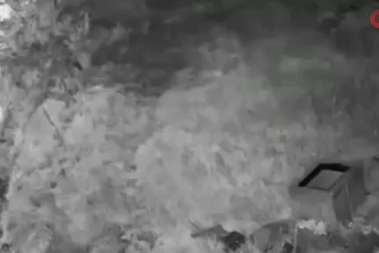 Maskeli beşler girdikleri işletmelerde çelik kasaları böyle patlattı...