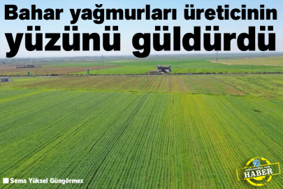 Bahar yağmurları üreticinin yüzünü güldürdü