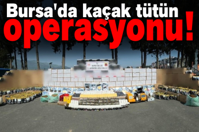 Bursa'da kaçak tütün operasyonu!