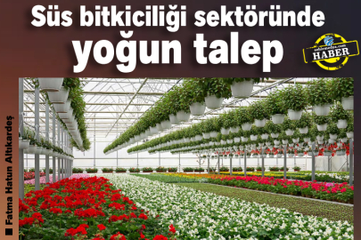 Süs bitkiciliği sektöründe yoğun talep