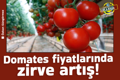 Domates fiyatlarında zirve artış!