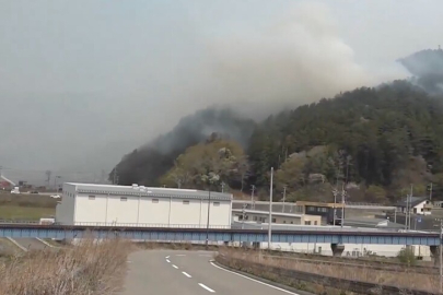 Japonya'nın kuzeydoğusundaki orman yangınları 11. gününde kontrol altına alındı