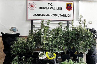 Osmangazi'de uyuşturucu operasyonu!