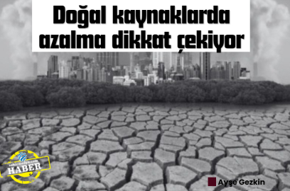 Doğal kaynaklarda azalma dikkat çekiyor