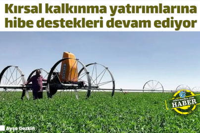 Kırsal kalkınma yatırımlarına hibe destekleri devam ediyor
