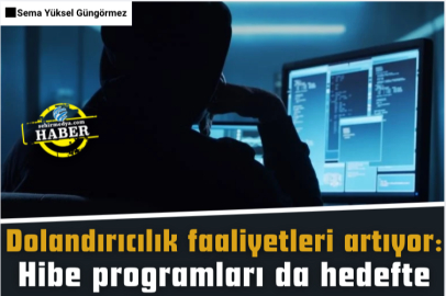 Dolandırıcılık faaliyetleri artıyor: Hibe programları da hedefte