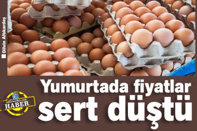 Yumurtada fiyatlar sert düştü