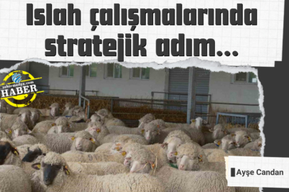 Islah çalışmalarında stratejik adım…