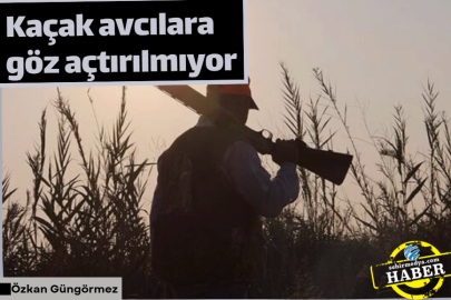 Kaçak avcılara göz açtırılmıyor