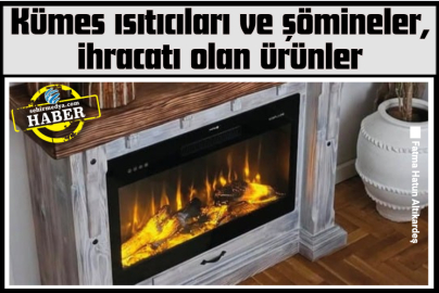 Kümes ısıtıcıları ve şömineler, ihracatı olan ürünler