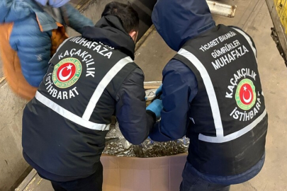 Gümrükler Muhafaza ekipleri son bir haftada toplam 659 kilogram uyuşturucu ele geçirdi