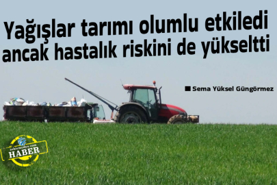 Yağışlar tarımı olumlu etkiledi ancak hastalık riskini de yükseltti