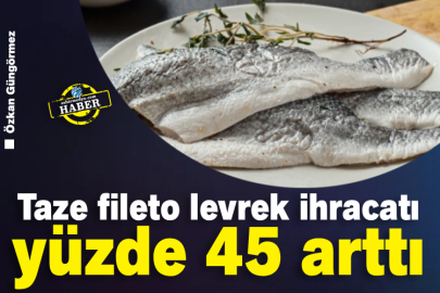 Taze fileto levrek ihracatı yüzde 45 arttı&nbsp;