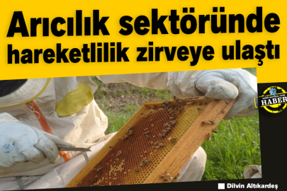 Arıcılık sektöründe hareketlilik zirveye ulaştı