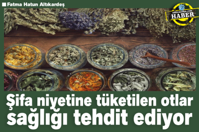 Şifa niyetine tüketilen otlar sağlığı tehdit ediyor